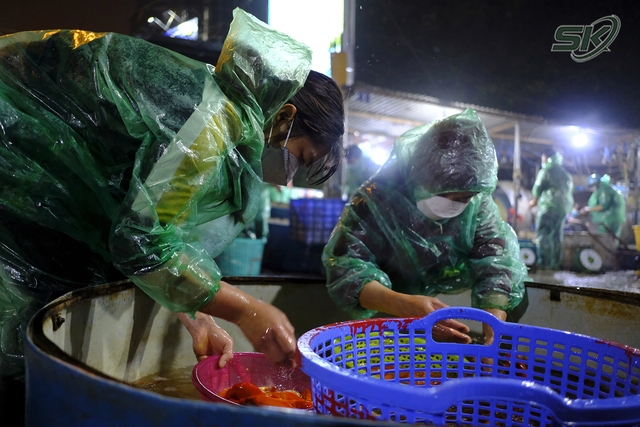 Trước ngày Táo quân, sức mua cá chép ở Hà Nội giảm nhưng giá vẫn tăng vọt - Ảnh 11.