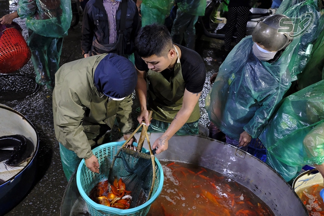 Trước ngày Táo quân, sức mua cá chép ở Hà Nội giảm nhưng giá vẫn tăng vọt - Ảnh 4.