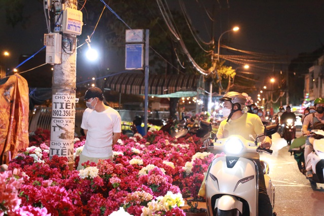 Nhà vườn bán hoa Tết tại bến Bình Đông 'hóng' khách - Ảnh 1.
