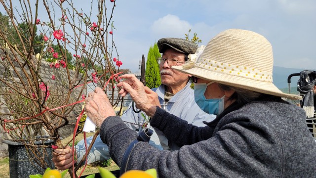 Vì dịch COVID-19, người Hà Nội chỉ ra nghĩa trang dịp cận Tết - Ảnh 2.