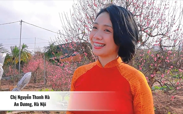 Chị Nguyễn Thanh Hà (An Dương, Hà Nội) chia sẻ: “Truyền thống nhà chị là cứ Tết đến là đến vườn đào Nhật Tân, vừa để mua đào vừa để vãn cảnh. Chị thấy về cơ bản dịch bệnh ảnh hưởng khá lớn, nhưng về tâm lý thì ai cũng háo hức đón Tết.”