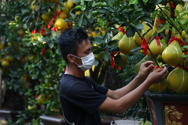 Bưởi Diễn ở TP HCM 'cháy hàng' dịp Tết Nguyên đán - Ảnh 5.