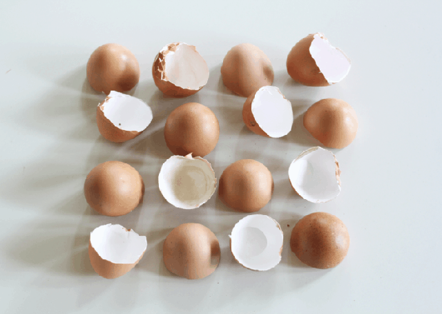 Ăn trứng đừng bỏ vỏ! Có tới 21 công dụng khiến bạn bất ngờ  - Ảnh 1.