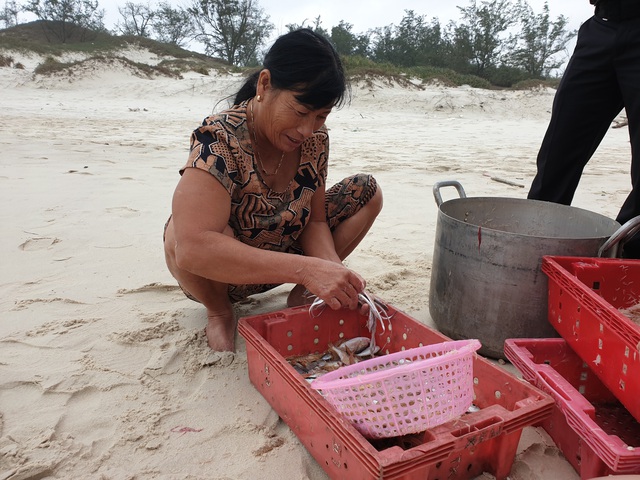 Chùm ảnh: Ngư dân vùng bãi ngang Quảng Bình vui mừng được mùa ruốc biển - Ảnh 8.