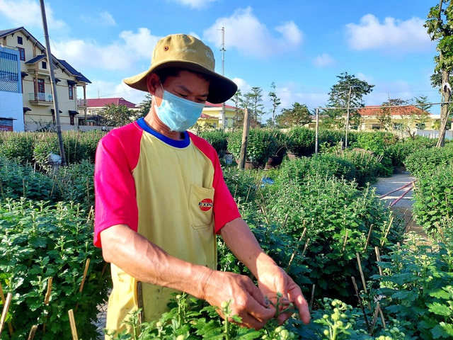 Việc nhẹ lương cao từ nghề ‘ngắt hoa, bẻ nụ’ những ngày giáp Tết - Ảnh 6.