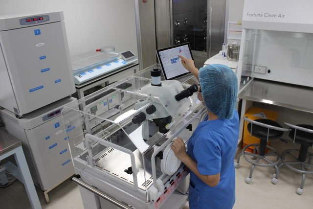 Kỹ thuật IVM của IVFMD, Bệnh viện đa khoa Mỹ Đức tạo tiếng vang trong giới Y khoa quốc tế - Ảnh 3. Kỹ thuật IVM của IVFMD, Bệnh viện đa khoa Mỹ Đức tạo tiếng vang trong giới Y khoa quốc tế - Ảnh 3.