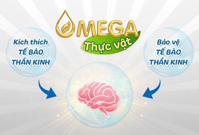 Mẹ có biết: Không phải chỉ DHA mới quyết định trí thông minh của trẻ? - Ảnh 2.