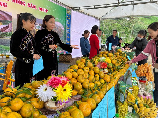 Ngày hội cam, quýt ở Bắc Kạn có gì đặc sắc? - Ảnh 1.