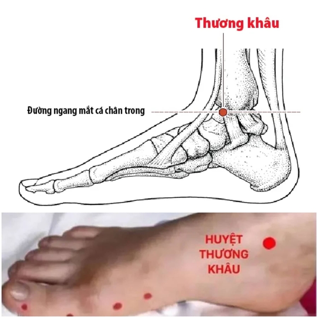 5 triệu chứng báo hiệu nội tạng của bạn tích tụ nhiều độc tố, hãy thường xuyên làm điều này để giải độc - Ảnh 6.