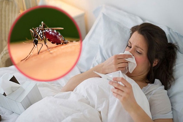 3 sai lầm phổ biến người bị sốt xuất huyết dễ mắc phải khiến bệnh trầm trọng hơn - Ảnh 2.