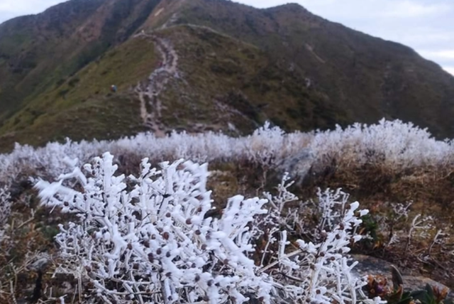 Hình ảnh băng tuyết phủ kín đỉnh Tà Chì Nhù ở Yên Bái - Ảnh 4.