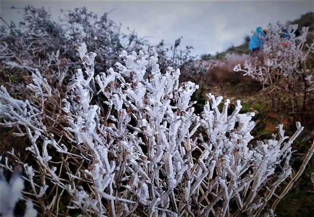 Hình ảnh băng tuyết phủ kín đỉnh Tà Chì Nhù ở Yên Bái - Ảnh 3.