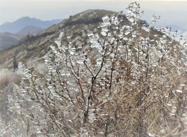 Hình ảnh băng tuyết phủ kín đỉnh Tà Chì Nhù ở Yên Bái - Ảnh 5.