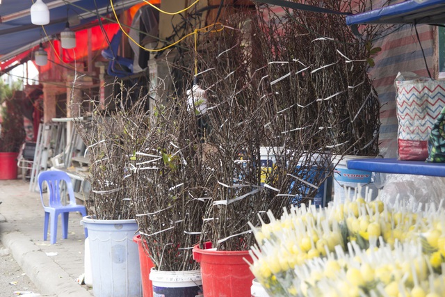 Chỉ bán hoa mỗi dịp Tết, người đàn ông ngồi ở cổng chợ hoa Quảng Bá thu hàng trăm triệu đồng mỗi năm - Ảnh 3.