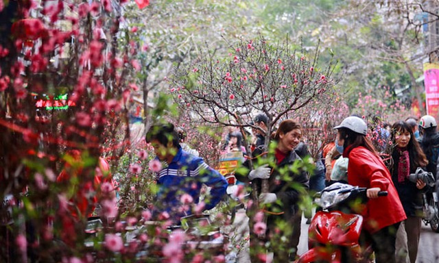 Những tuyến đường nào ở Hà Nội sẽ bị cấm để mở chợ hoa Tết 2023? - Ảnh 1.