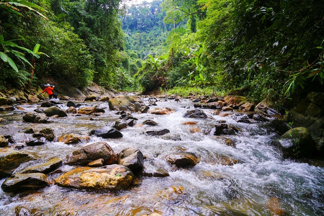 Chùm ảnh: Khám phá vẻ đẹp tạo hóa ban tặng cho Khu DTTN Động Châu - khe Nước Trong - Ảnh 4.