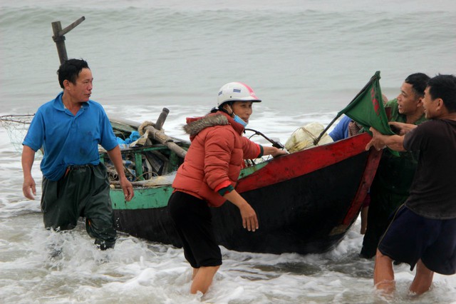 Ngư dân Hà Tĩnh được mùa cá trích - Ảnh 3.