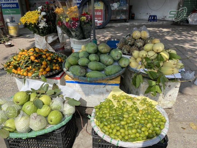 Nhót đầu mùa vừa chua vừa chát, giá bán hơn 100.000 đồng/khay vẫn được ‘săn lùng' - Ảnh 3.