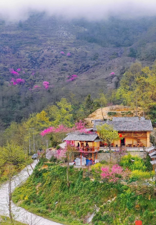 Mùa hoa đào nở muộn ở cao nguyên đá Hà Giang - Ảnh 2.