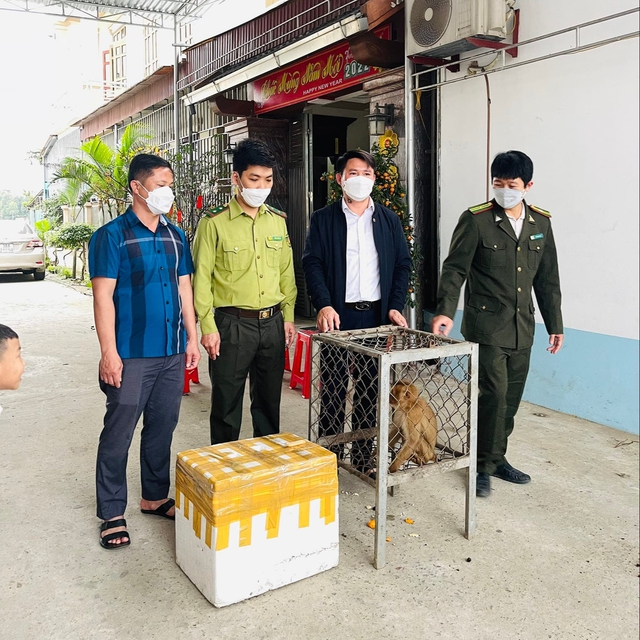 Người đàn ông ở Hà Tĩnh mua 2 cá thể động vật quý hiếm thả về rừng - Ảnh 1.