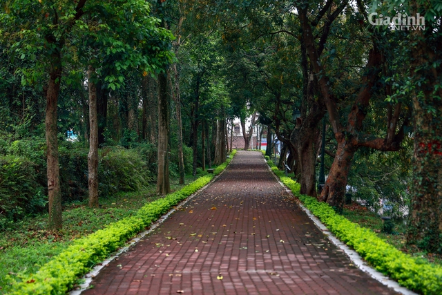 Đẹp ngỡ ngàng tuyến phố đi bộ mới của Hà Nội bao quanh Thành cổ gần 200 tuổi  - Ảnh 3.