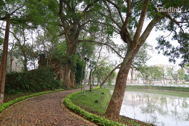 Đẹp ngỡ ngàng tuyến phố đi bộ mới của Hà Nội bao quanh Thành cổ gần 200 tuổi  - Ảnh 4.