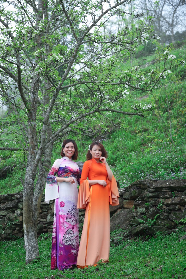 NTK Hoàng Ly khoe vẻ đẹp áo dài ở vườn hoa lê Tuyên Quang
 - Ảnh 6.