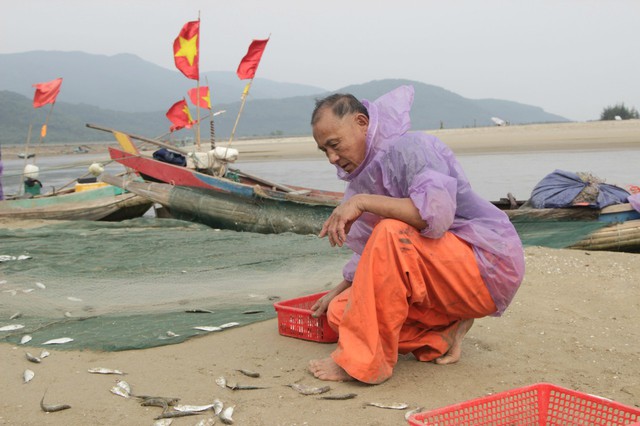 Ngư dân Hà Tĩnh trúng đậm cá trích - Ảnh 5.