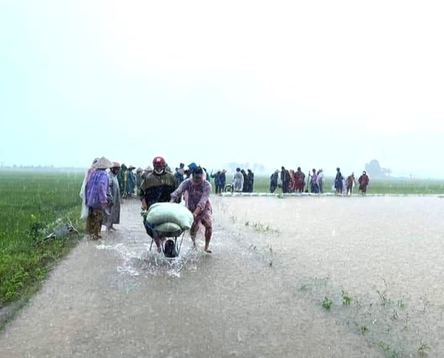 Ảnh: Mưa lũ bất thường, người dân dầm mưa mong 'giải cứu' cứu hàng trăm ha lúa  - Ảnh 10.