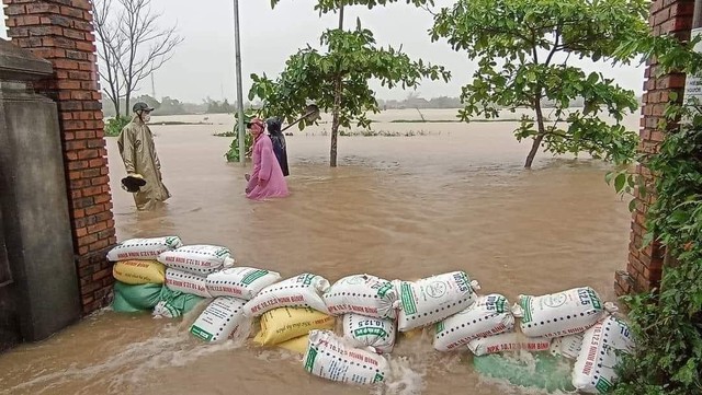 Ảnh: Mưa lũ bất thường, người dân dầm mưa mong 'giải cứu' cứu hàng trăm ha lúa  - Ảnh 8.