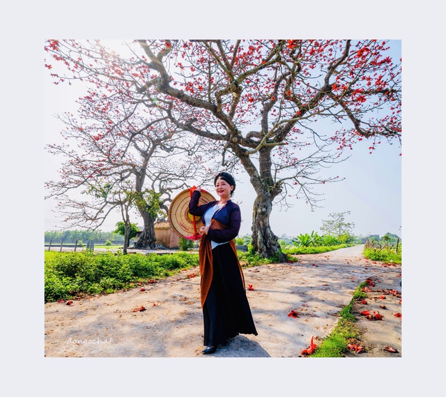 Nghệ sĩ Trà My, Thanh Thanh Hiền khoe sắc với hoa gạo - Ảnh 9.