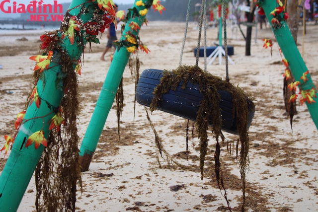 Quảng Ninh: Nhếch nhác bãi biển du lịch Cô Tô bị rong biển chết phủ kín  - Ảnh 2.