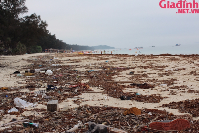 Quảng Ninh: Nhếch nhác bãi biển du lịch Cô Tô bị rong biển chết phủ kín  - Ảnh 7.