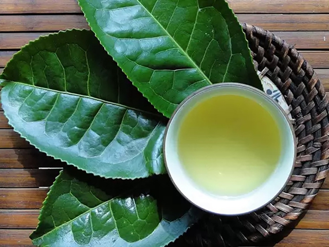 Uống trà xanh vào 4 thời điểm này còn tốt hơn thuốc bổ, giúp giảm nguy cơ mắc tiểu đường, tim mạch và ngăn ngừa tế bào ung thư! - Ảnh 3.