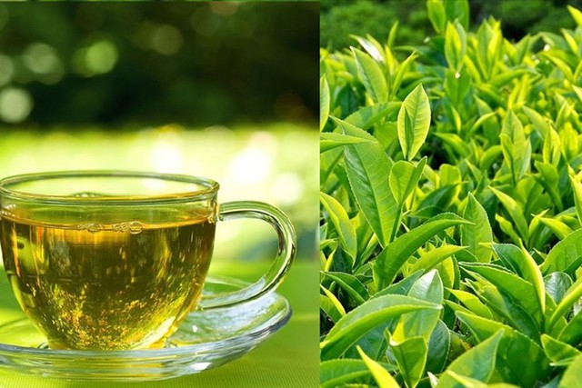 Uống trà xanh vào 4 thời điểm này còn tốt hơn thuốc bổ, giúp giảm nguy cơ mắc tiểu đường, tim mạch và ngăn ngừa tế bào ung thư! - Ảnh 2.