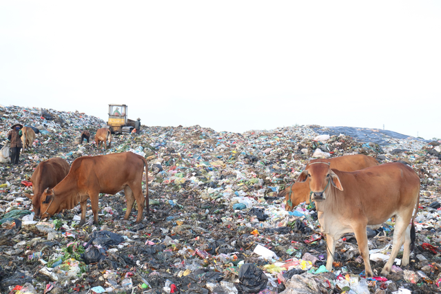 Thanh Hóa: Cận cảnh bãi rác lớn nhất tại Sầm Sơn trước khi bị “khai tử” - Ảnh 2.