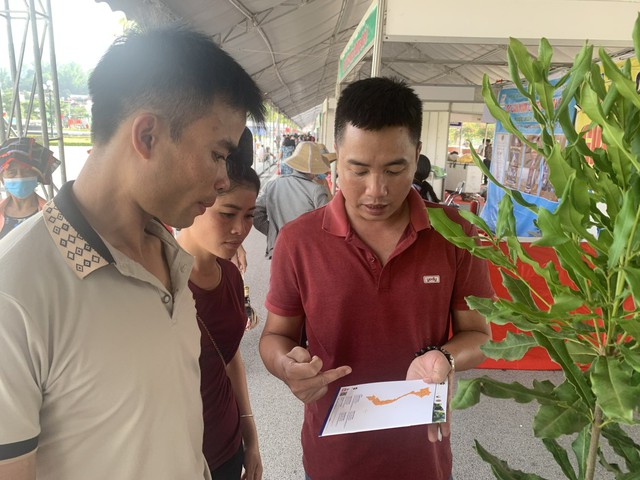 'Nữ hoàng quả khô' mắc ca 'hút khách' ở festival trái cây lớn nhất vùng Tây Bắc - Ảnh 4.