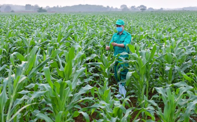 Vinamilk Green Farm – một dấu ấn rõ nét của ngành sữa Việt Nam trêm hành trình phát triển bền vững
 - Ảnh 8.