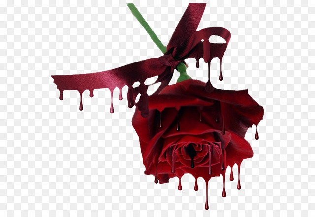 Sát thủ &quot;hoa hồng&quot; và tấm bi kịch của một kẻ &quot;cuồng yêu&quot; - Ảnh 2.