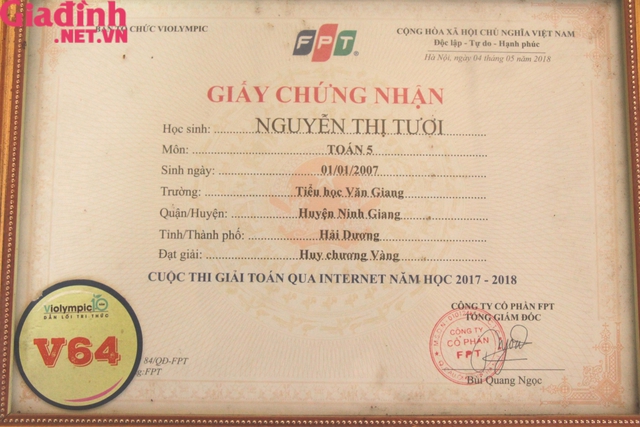 MS 768: Gia cảnh khốn khó nữ sinh đỗ thủ khoa lớp 10 ở Hải Dương và mong ước người mẹ tật nguyền - Ảnh 8.