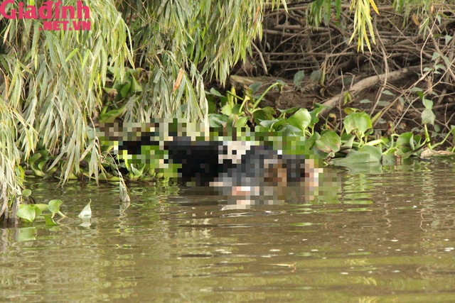 Hải Dương: Phát hiện thi thể người phụ nữ tử vong trên sông Cửu An tại huyện Ninh Giang - Ảnh 1.
