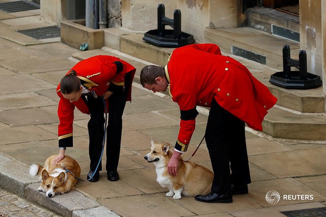Hình ảnh xúc động trong tang lễ Nữ hoàng Anh Elizabeth II - Ảnh 12.