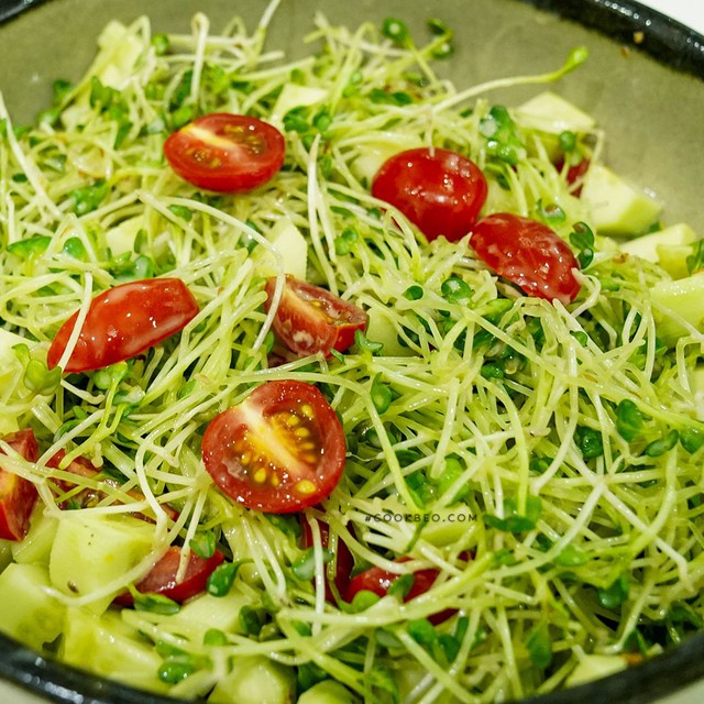 Mê tít thủ tục salad rau xanh búp giản dị, ko đắng, vừa thơm vừa ngon chớ căn vặn luôn luôn của Tiến sĩ nông nghiệp Lê Thủy  - Hình ảnh 4.