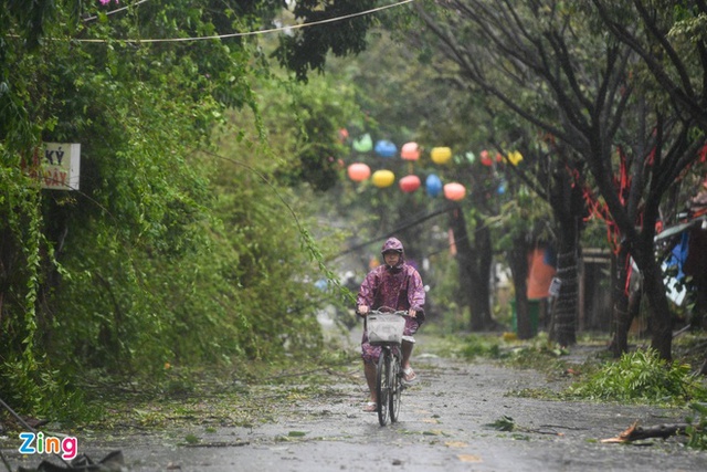 Hình ảnh Hội An, Đà Nẵng tan hoang khi bão Noru đổ bộ - Ảnh 3.
