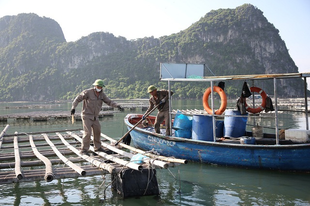 Quảng Ninh: Vì sao 4 cán bộ Đội kiểm tra trật tự đô thị và môi trường TP. Cẩm Phả bị khai trừ Đảng? - Ảnh 1.