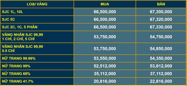 Giá vàng hôm nay (14/1): Tiếp đà tăng mạnh, giá vàng SJC vượt 67 triệu/lượng - Ảnh 3.
