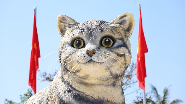Tiết lộ danh tính người làm linh vật 'mèo hoàng hậu' ở Quảng Trị khiến dân mạng trầm trồ khen ngợi - Ảnh 3.