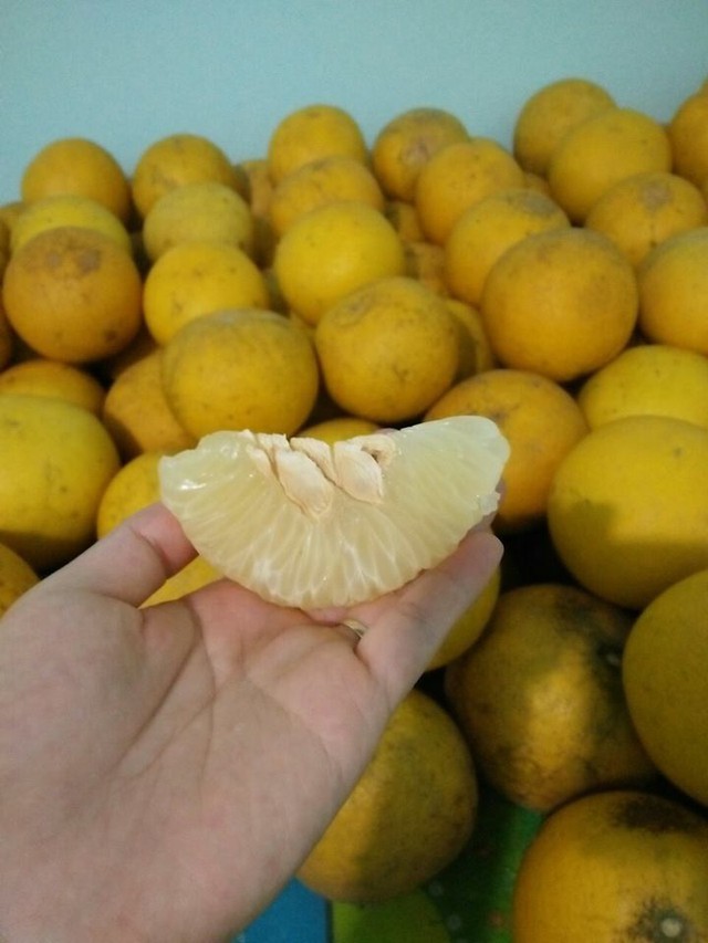 Lạ đời đồ quê, rẻ tiền vào biệt thự, thơm lừng cả khu nhà giàu - Ảnh 2.