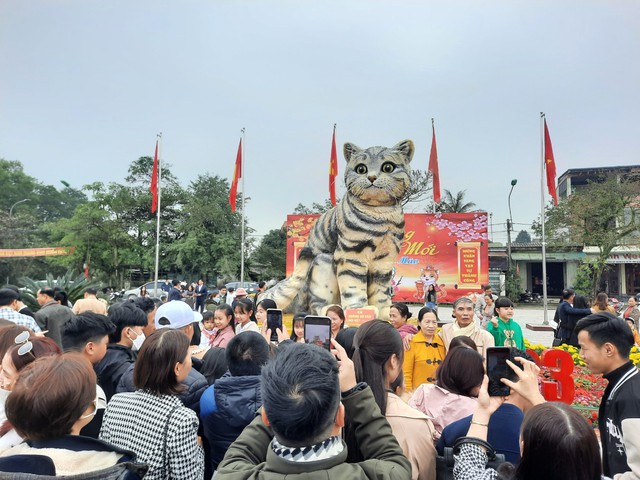 'Hoa hậu mèo' Quảng Trị thu hút hàng chục nghìn người đến check-in dịp Tết - Ảnh 1.