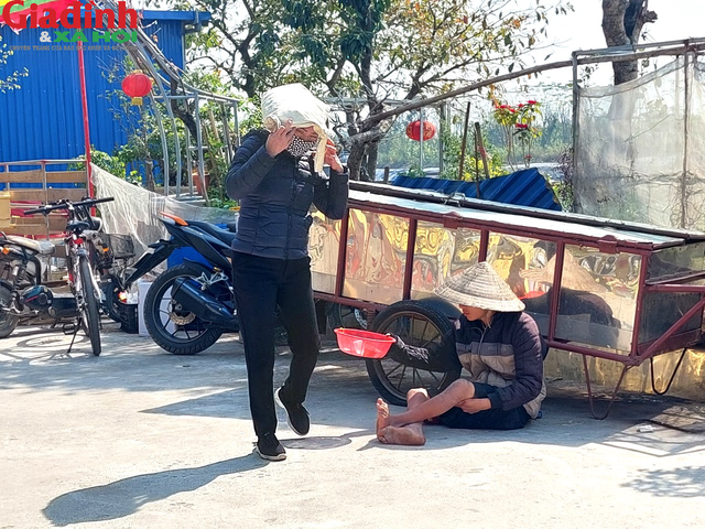 Hải Dương: Người ăn xin &quot;bủa vây&quot;, xem bói công khai đền bờ sông huyện Ninh Giang - Ảnh 11.